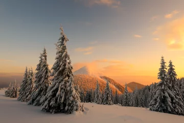 Fotobehang Dramatic wintry scene with snowy trees. © Ivan Kmit