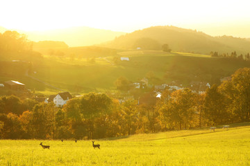 Odenwald