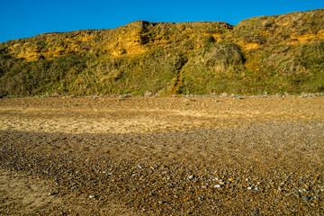 Erosion along the cliff edge.