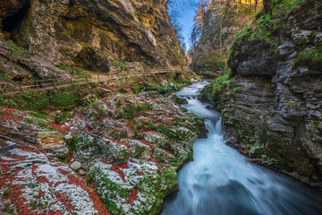 Obraz premium Bled, Slovenia - The beautiful Vintgar Gorge canyon with wooden path and stream near Bled, Triglav