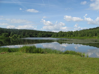 Lake among the forest