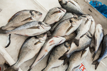 Fresh Sea fish bream