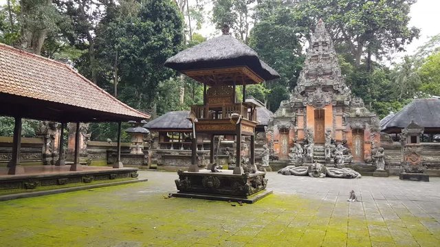 Wild monkeys in front of temple in Monkeyforest, Ubud, Bali