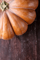 Close-up of big pumpkin Autumn pumpkin background