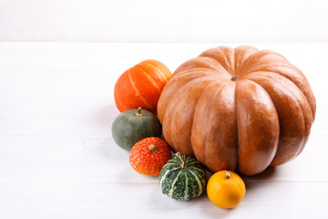 Multicolored pumpkins on white wooden background.