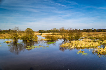 Jesień nad rzeką Grabią, Polska © Senatorek