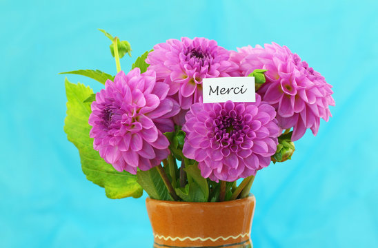 Merci (thank you in French) card with pink dahlia flowers on vivid blue background

