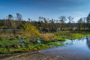 Jesień nad rzeką Grabią, Polska © Senatorek
