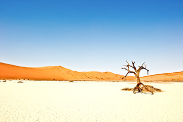 Wide Open Spaces.....