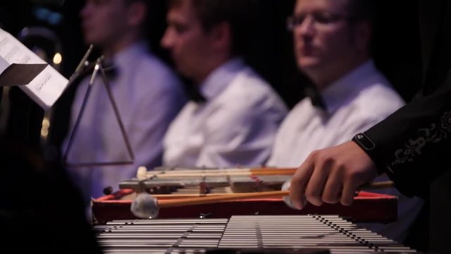 Close up of the musician playing on xylophone. Xylophone, music and chromatic instrument concept - closeup on wooden bars with four mallets in human hands, performer in black dress, glockenspiel