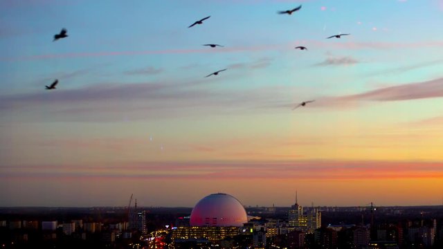 Birds flying high with the southern part of Stockholm at dusk in the backdrop.