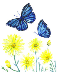 Painting watercolor flowers and butterflies vintage