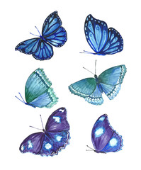 Set of beautiful watercolor butterflies.