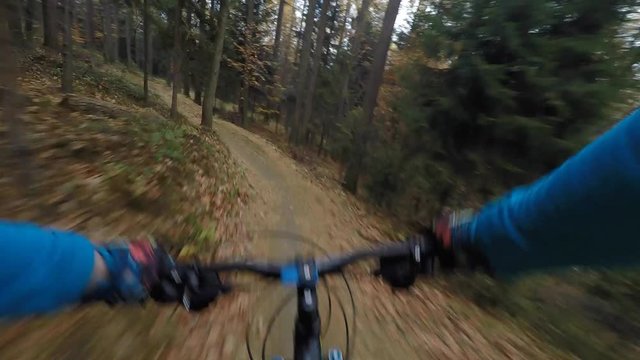 Mountain cycling in autumn mountains forest landscape. Man cycling MTB flow trail track. Outdoor sport activity.