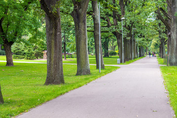 Fototapeta na wymiar beautiful city park in summer day