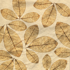 Hand-drawn leaves on rice paper background