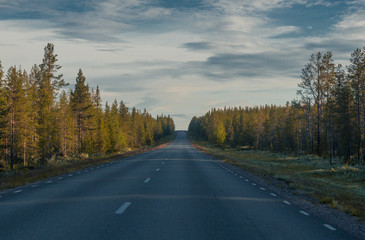 Fototapeta premium Empty road