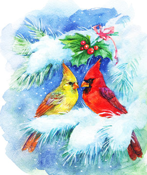 Watercolor Christmas greeting card with cardinals and mistletoe