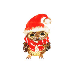 Watercolor Christmas owl in hat. Painting cute cartoon character