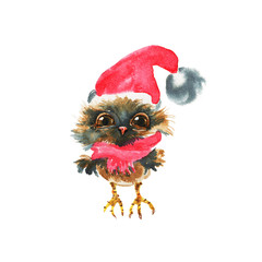 Watercolor Christmas owl in hat. A cute painted cartoon character owl bird in a Christmas hat on a white background