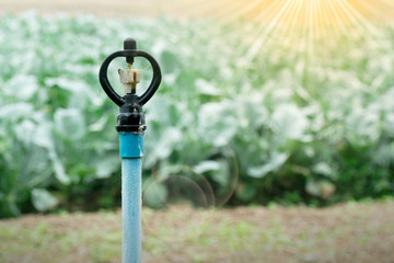  water sprinkler at agricultural field