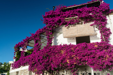 tipica casa della costiera amalfi, positano sorrento