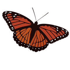 Fototapeta na wymiar Butterfly Digital Illustration - Orange Wings, Abstract and Simple Clipart