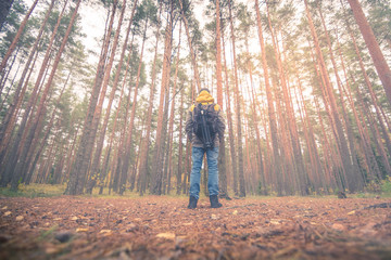 Fototapeta premium A person looking into the sunlight through the trees at forest. Beaming light covers the woods creating warm and moody vibes. 