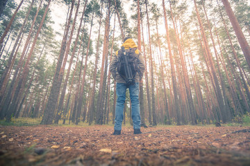 A person looking into the sunlight through the trees at forest. Beaming light covers the woods creating warm and moody vibes. 