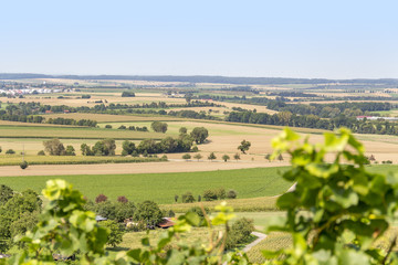 winegrowing scenery in Hohenlohe