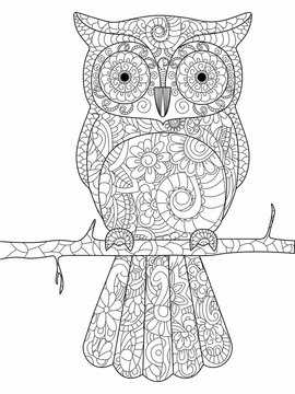 Owl on a branch Coloring book raster for adults