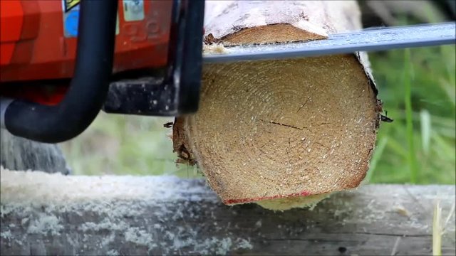 The worker does sawing in a log, which will serve as the basis for the floor in a wooden field with a chainsaw.