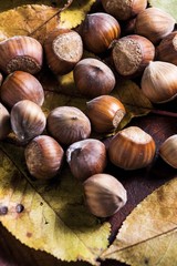 hazelnuts background