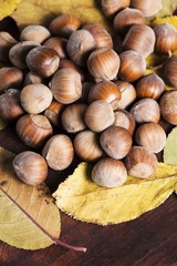 hazelnuts background