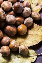 hazelnuts background