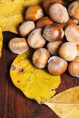 hazelnuts background