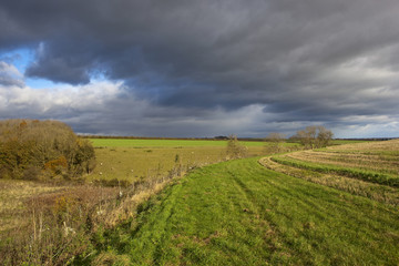 Fototapeta na wymiar storm clouds and grass track