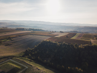 Aerial view of the vineyards in sunset