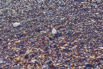 Multicolored sea pebbles in the wave on the shore