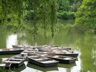 Rowboats docked on a serene, still pond surrounded by lush green foliage