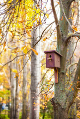 Wooden starling house on the tree