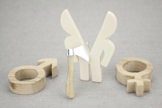 Darstellung einer gespaltenen Pers&ouml;nlichkeit mit Holzm&auml;nnchen und Symbolen m&auml;nnlich und weiblich