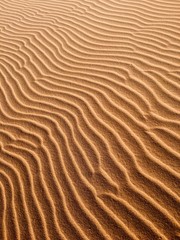 dunes on a desert