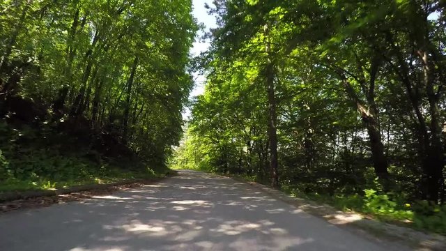 Beautiful on board camera footage, driving in a forest, Croatia.