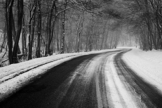 Fototapeta Forrest road