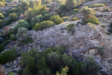Skały porośnięte krzewami, Grecja na wyspie Rodos. © Stanisław Błachowicz