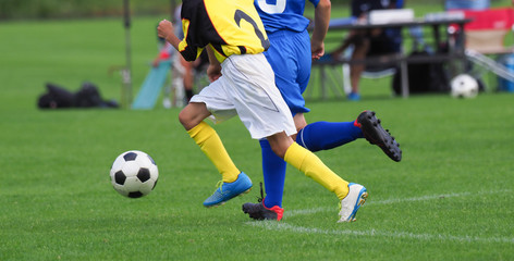 Fototapeta premium サッカー フットボール