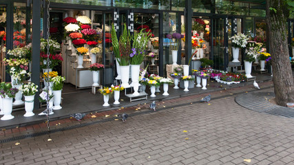 Obraz premium urban flower market in Riga city