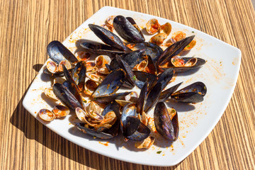 Empty mussels and clams