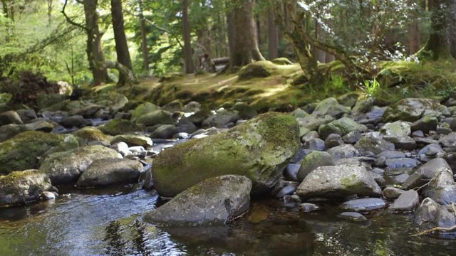 Footage Of Stream Flowing Through Rocks In Forest